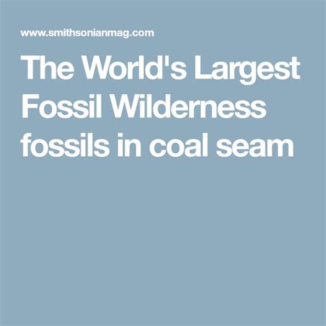 The World's Largest Fossil Wilderness .